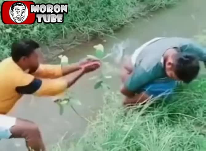Video :There is no doubt that this acquaintance will be a loyal friend!